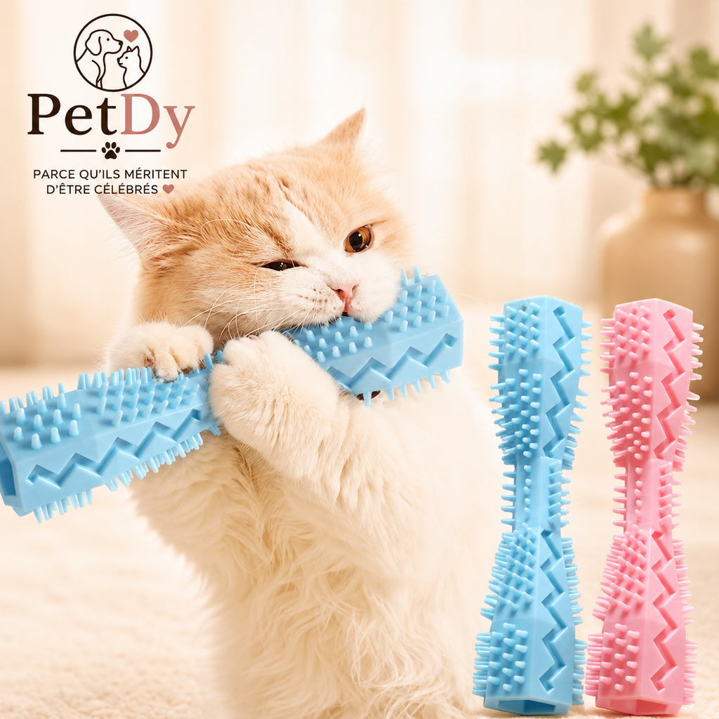 Bâton de Mastication Dentaire pour Chien | Jouet à Mâcher en Caoutchouc | Nettoyage des Dents et Distribution de Friandises