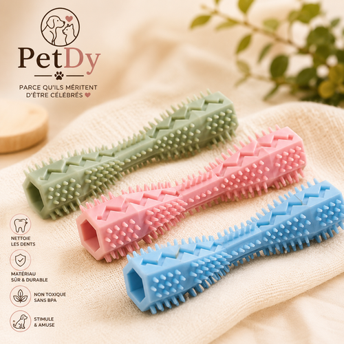 Bâton de Mastication Dentaire pour Chien | Jouet à Mâcher en Caoutchouc | Nettoyage des Dents et Distribution de Friandises