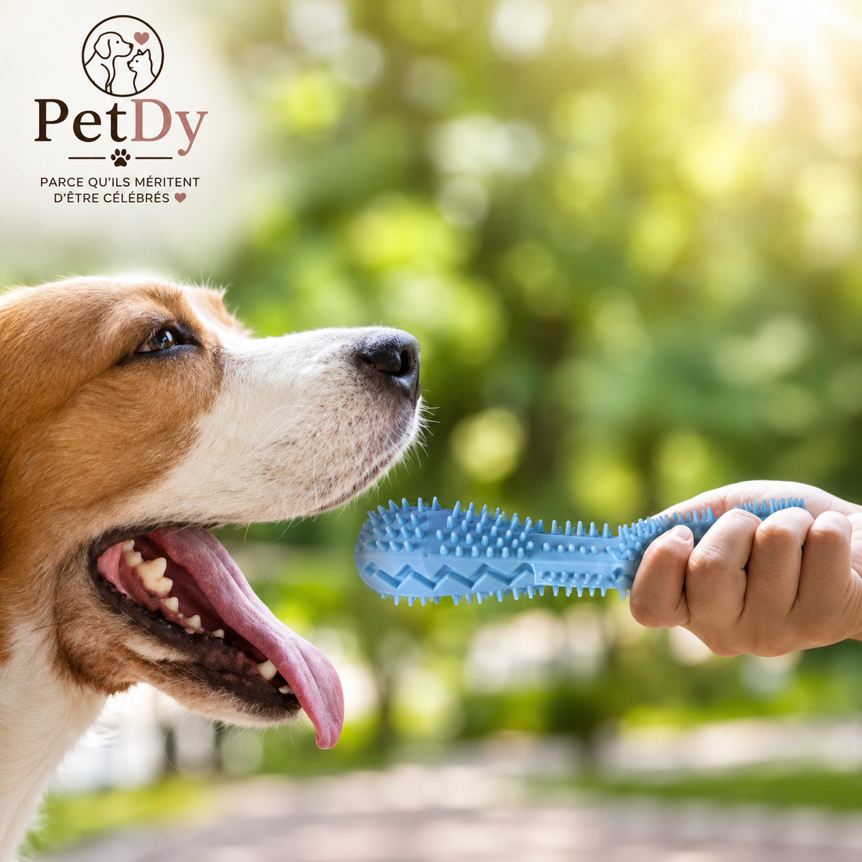 Bâton de Mastication Dentaire pour Chien | Jouet à Mâcher en Caoutchouc | Nettoyage des Dents et Distribution de Friandises